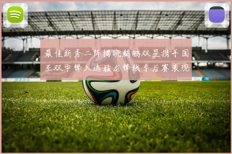 最佳新秀二阵揭晓鹈鹕双星携手国王双中锋入选猛龙锋线季后赛表现抢眼